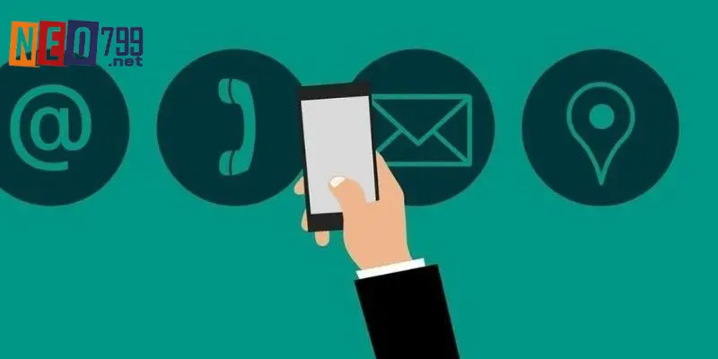 3 các cách liên hệ NEO79 chi tiết